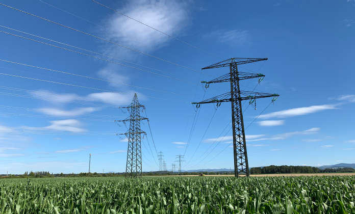 Zwei Strommasten auf einem Maisfeld